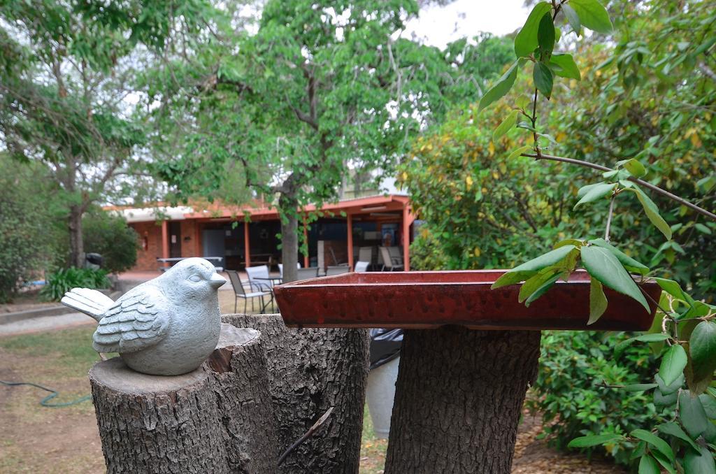 River Country Inn (Adults Only) Moama Buitenkant foto